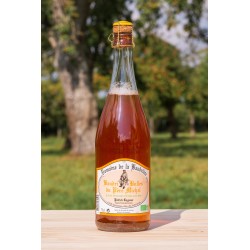 Jus de Pomme Pétillant Bio 75cl