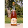 Jus de Pomme Pétillant Bio 75cl