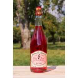 Cidre Fermier Rosé 75cl