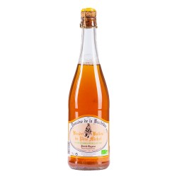 Jus de Pomme Pétillant Bio 75cl